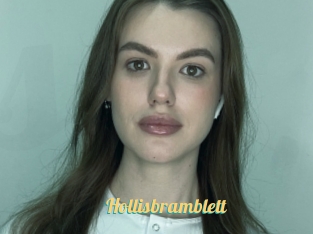 Hollisbramblett