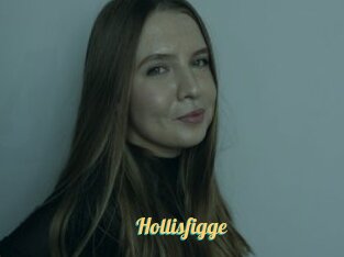 Hollisfigge