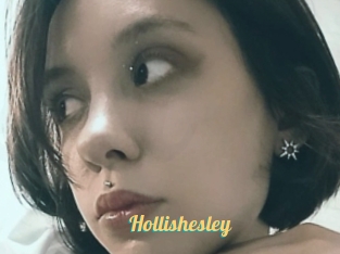 Hollishesley