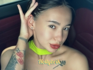 Hollybrik