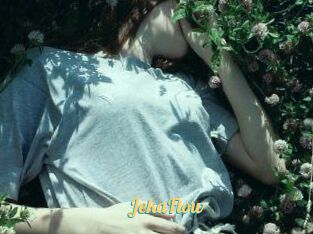 JekaFlow