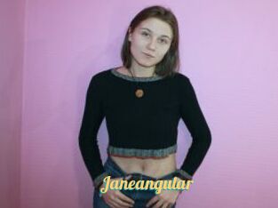 Janeangular
