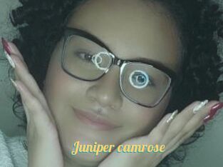 Juniper_camrose