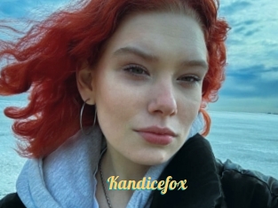Kandicefox
