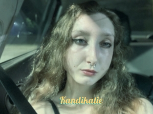 Kandikatie