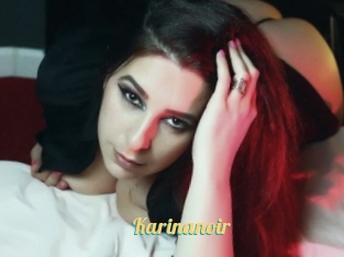 Karinanoir