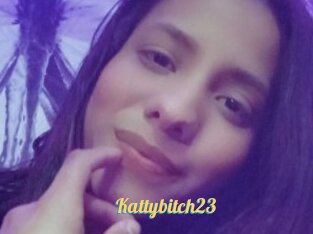 Kattybitch23