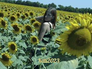 Kitti2023