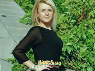 LittleSusy
