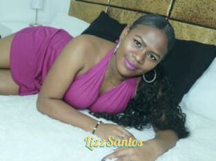 LizzSantos