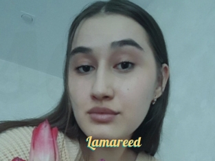 Lamareed