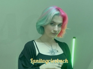 Lanitagriesbach