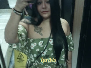 Laribis