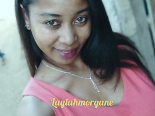 Laylahmorgane
