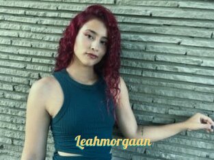 Leahmorgaan