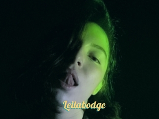 Leilabodge