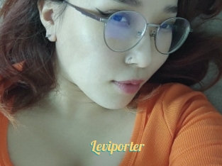 Leviporter