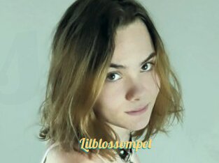 Lilblossompet