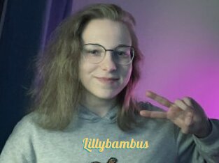 Lillybambus