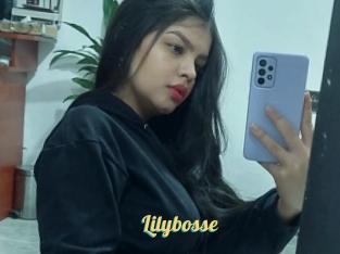 Lilybosse