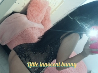 Little_innocent_bunny