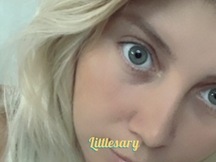 Littlesary