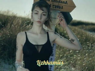 Lizhkamics