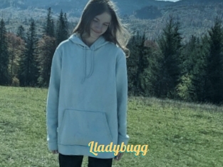 Lladybugg