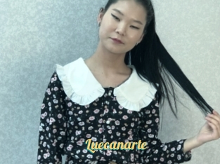 Luecanarte
