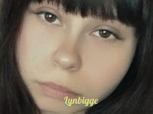 Lynbigge