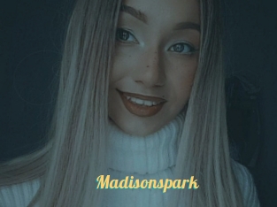 Madisonspark