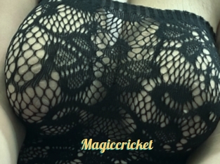 Magiccricket