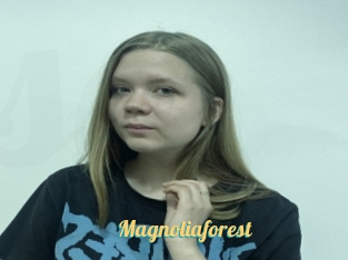 Magnoliaforest
