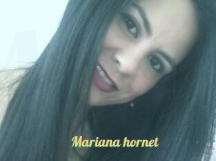 Mariana_hornet