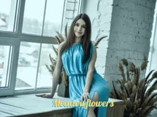 Meadowflowers