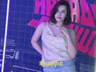 Meganfelt