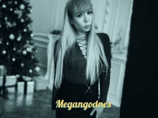 Megangodnes