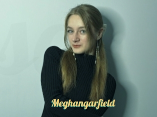 Meghangarfield