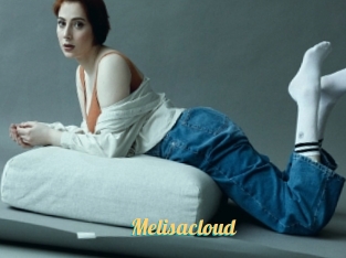 Melisacloud