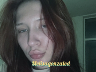 Melisagonzaled