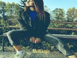 Mellisajo