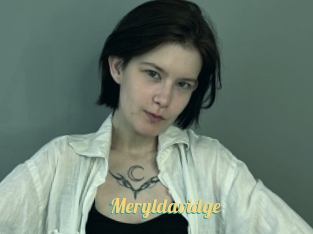 Meryldavidge