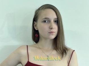 Metawillock