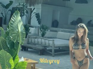 Mileyrey