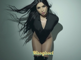 Missgissel