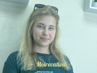 Moirecatlow