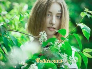 Mollieevans