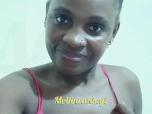 Mollineakinyi