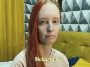 Mollyrabbit