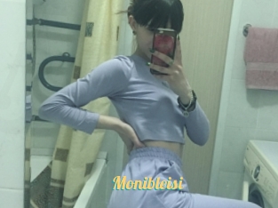 Monibleisi